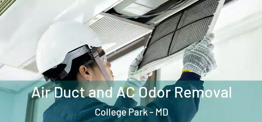 Air Duct and AC Odor Removal College Park - MD