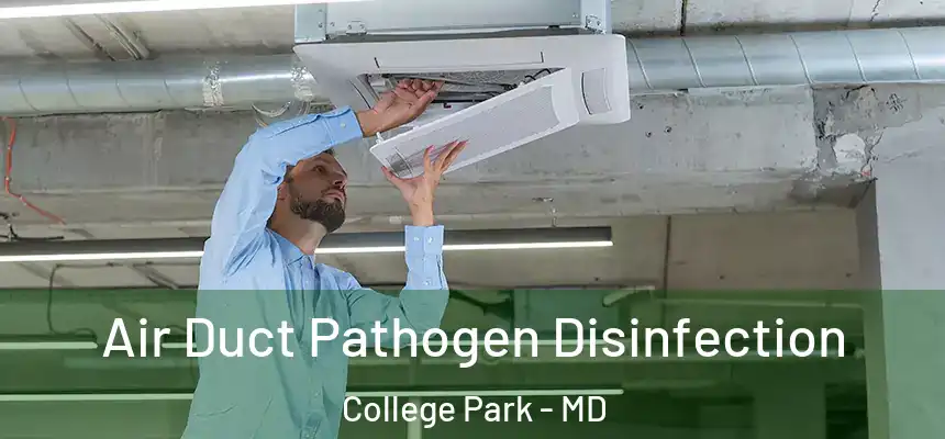  Air Duct Pathogen Disinfection College Park - MD