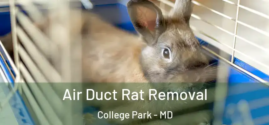  Air Duct Rat Removal College Park - MD
