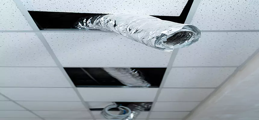 Affordable HVAC Sanitizing After Pest Removal in College Park