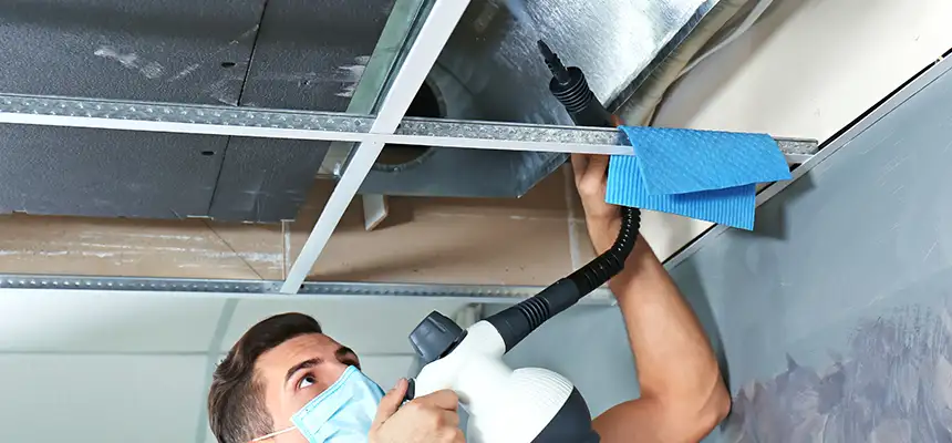 Our Air Duct Rodent Removal Services in College Park, MD