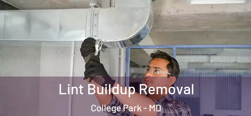  Lint Buildup Removal College Park - MD