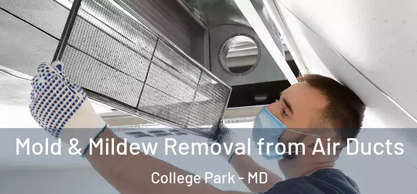  Mold & Mildew Removal from Air Ducts College Park - MD