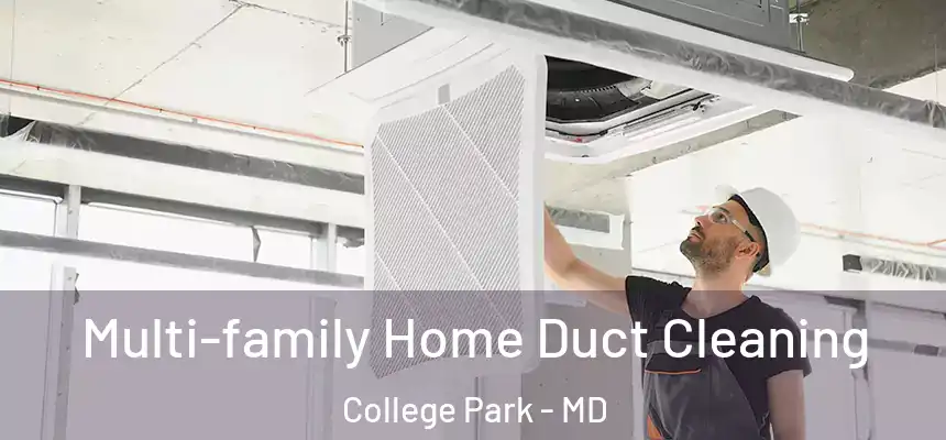 Multi-family Home Duct Cleaning College Park - MD