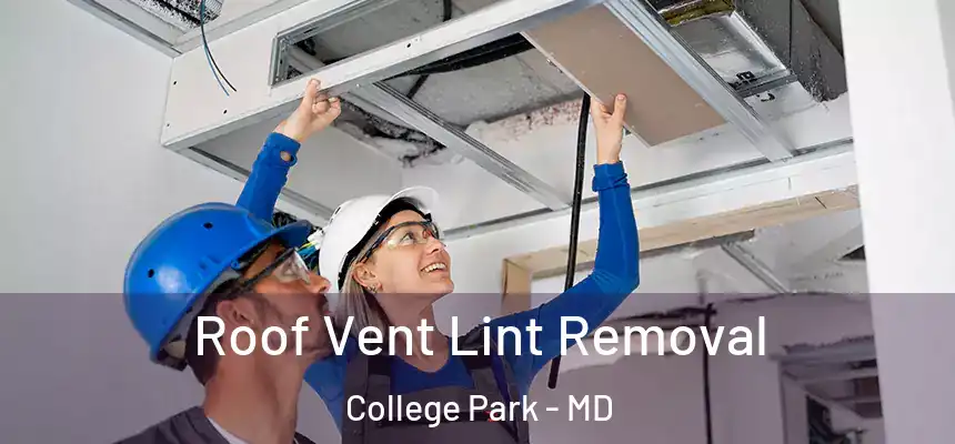 Roof Vent Lint Removal College Park - MD