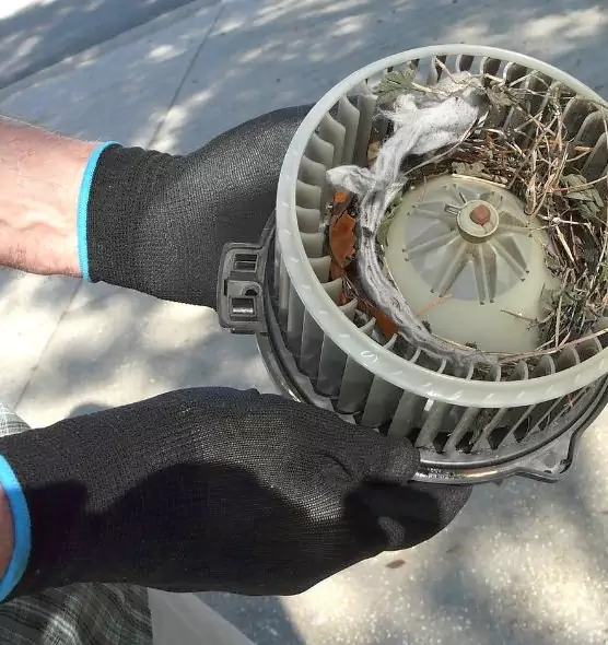 About Air Duct Rat Removal in College Park, MD