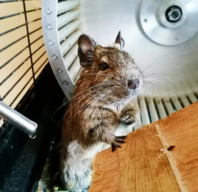 Why Homeowners & Businesses Trust Us College Park, MD