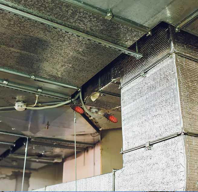 Why Homeowners & Businesses Trust Us College Park, MD?