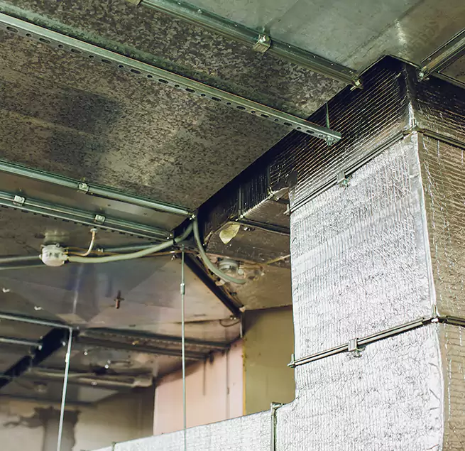 Why Homeowners & Businesses Trust Us in College Park, MD?